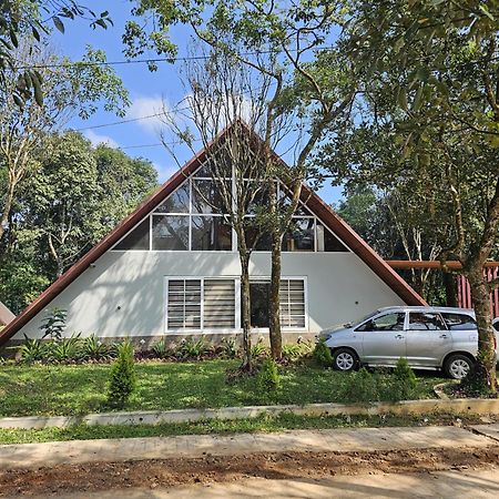 Hazy Hills Pool Villa Udumbanshola Ngoại thất bức ảnh